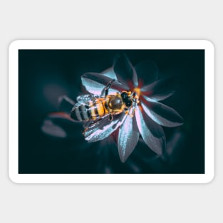 Bee on flower Sticker